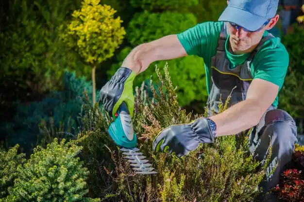 landscaping services Lake Charles
